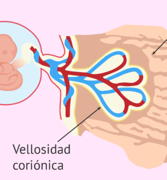 4a semana